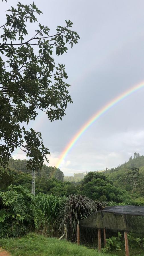 Pousada Pedra Da Mata Chales Na Montanha Munhoz Exteriör bild