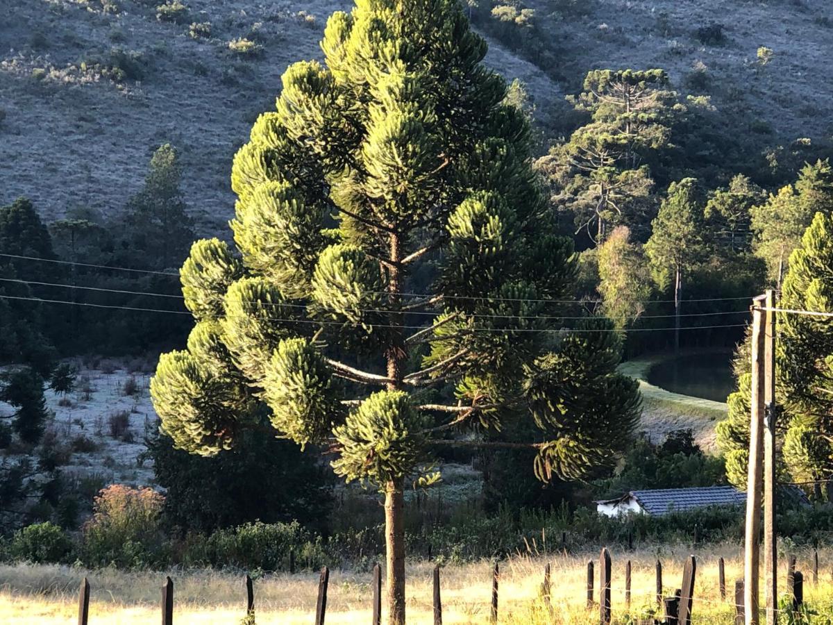 Pousada Pedra Da Mata Chales Na Montanha Munhoz Exteriör bild
