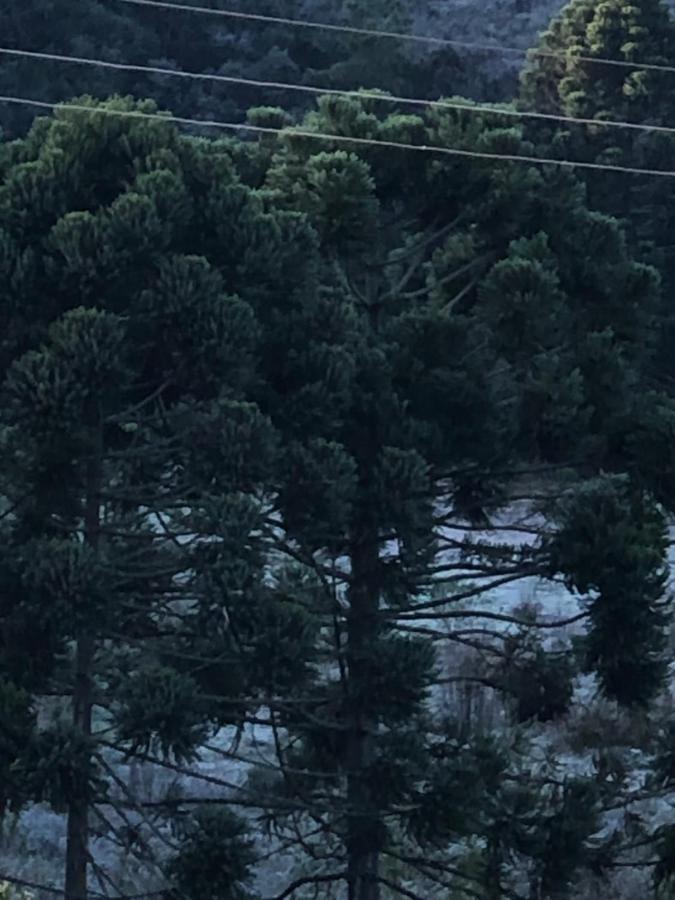 Pousada Pedra Da Mata Chales Na Montanha Munhoz Exteriör bild